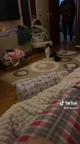 tinv (@chreestie)’s videos with original sound - tinv