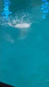 Men's 3M Diving Springboard Beautiful Amazing and the best diving