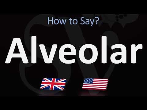How to Pronounce Alveolar? (2 WAYS!) UK/British Vs US/American English Pronunciation