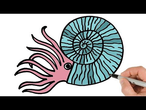 How to Draw Ammonite | Sea Creature Easy Step-by-Step Tutorial!