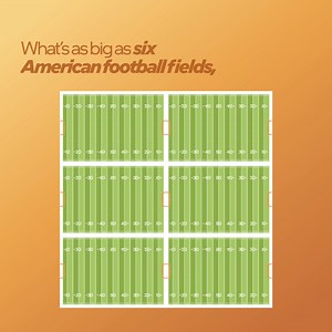 Moro Hub holds the Guinness World Records title for the largest solar-powered data center. Powered by #Intel technology, it delivers optimized AI capabilities with energy-efficient performance. | Intel