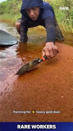 Who Needs A Job When You Have A PAN?! 💰