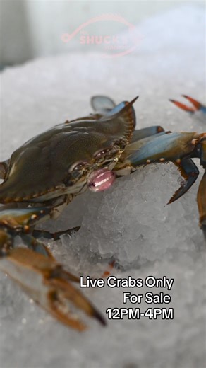 5.7K views · 55 reactions | 呂Get Your Live Crabs Today 呂ONLY AT MR SHUCKS SEAFOOD MARKET ⏰We are open from 12 PM - 4 PM 107 Altama Connector, Brunswick, Georgia | Mr. Shuck’s Seafood | Facebook