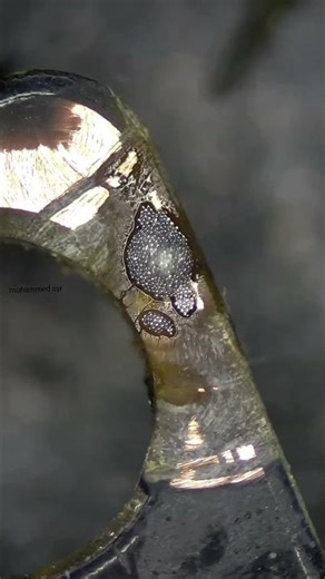 redmi note 8 pro touch not working #smartphone #repair