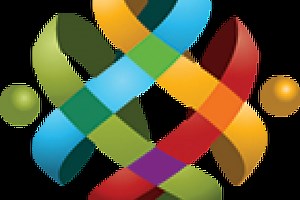 Disaggregated Data Action Plan (DDAP) - Statistics Canada