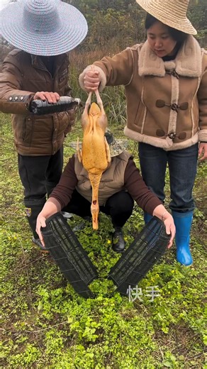 Riya Mazumder on Instagram: "Unbelievable duck 🦆 bait fishing 🎣 catching snakehead & many more 😯✌️ #fishing #fishinglife #fishingvideos #duck #fishingbait"