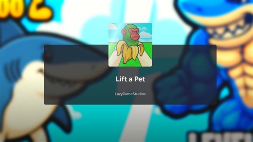 Lift a Pet codes