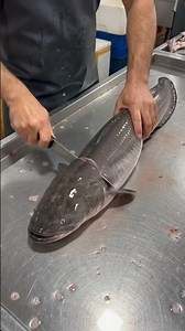 Massive Catfish Cleaning & Filleting 🐟 | Satisfying Fish Cutting
