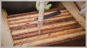 Oxalic Acid and Honey Supers