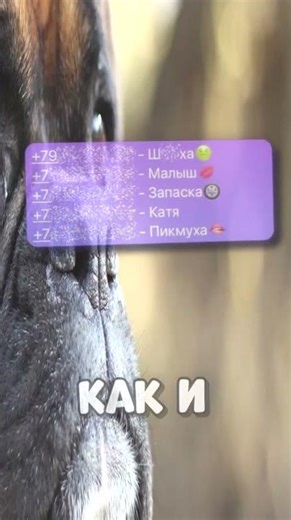 #redstone #commandblock #build