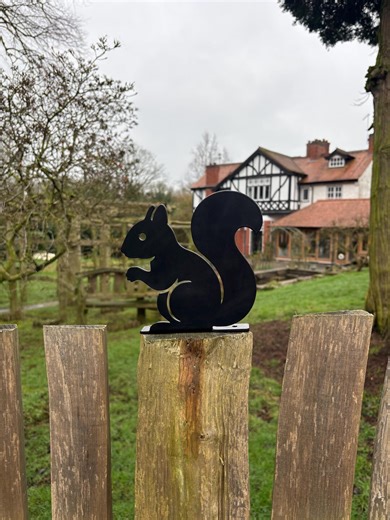 Handmade Metal Squirrel Fence Topper | Powder Coated Garden Decor - Etsy