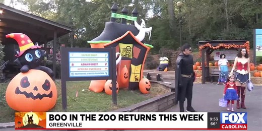Boo in the Zoo returns this week