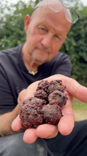Carp Fishing PVA Bags That Explode 💥 On The Lakebed — Here’s An Awesome Trick! 🎣 #fishing