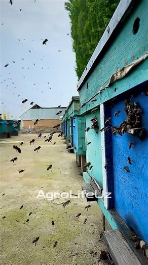 8 апреля 2026 г.