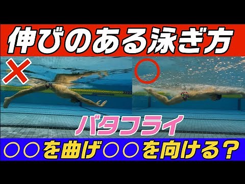 【バタフライ】伸びのある泳ぎ方