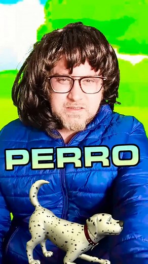 Pedro Lázaro | Los perros son lo mejor #perros #perro #perrosfelices #perrosgraciosos | Instagram