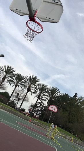 Basketball Shooting Attempt at Tropical Court