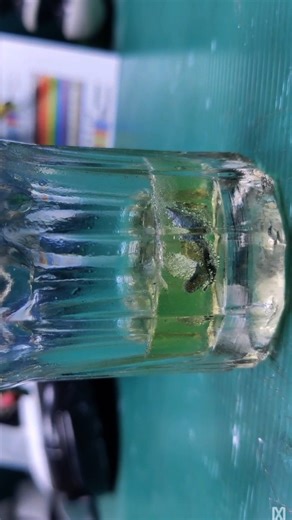 The Strongest Flux in the World Made at Home — Not Germany! 🤯🔥 #crafts #craft #crafttips #DIYcrafts #Soldering #Flux #TechDIY #Workshop #LifeHack #Innovation | 𝗣𝗿𝗼 𝗗𝗜𝗬𝗘𝗥