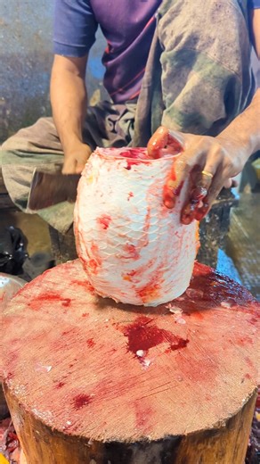 Knife & Fish on Instagram: "Perfect golden carp Fillet — Smooth, Clean & Satisfying Cuts! ✨🔪 #fblifestyle #communityconcerns #wednesdayspecials #furnituredesign #healthbenefits #holidaydecorations #chickenwings #independence #giftideas #potluck #innovativedesign"