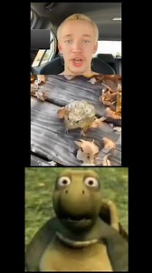 Oh No Cringe Meme Reaction Videos Compilation