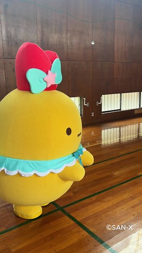 えびのこのこのここしたんたん？ #しかのこのこのここしたんたん #えびふらいのしっぽ #すみっコぐらし #sumikkogurashi #サンエックス #sanx