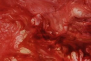 O2 Filmes - Finos Filmes (2015) - tiagoom