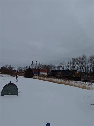 Intermodel Rolling on By! #trainvideo #csx