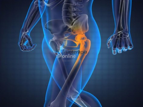 Cuello anatómico del fémur