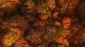 Fall colours in Antigonish County, Nova Scotia. | Brendan Riley Photography