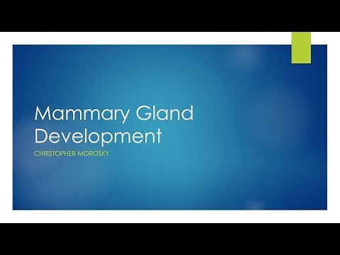 Mammary Gland Development