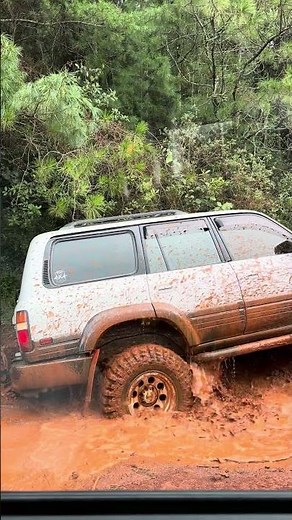 Your Car Could Never Survive This Trail 😳| Extreme Offroad Adventure #offroad #4x4 #mud