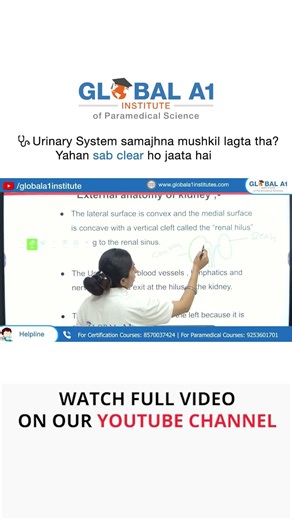 Urinary System & Kidney Anatomy | Easy Explanation for Nursing Students #urinarysystem