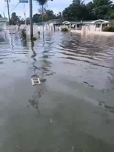 Flooding in Pinewood today after Tropical Storm Imelda. | Tribune News Network