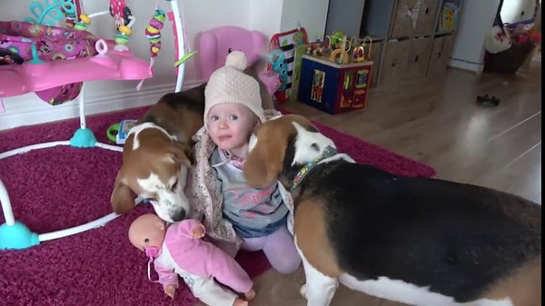 Dogs welcome their owners with love and kisses