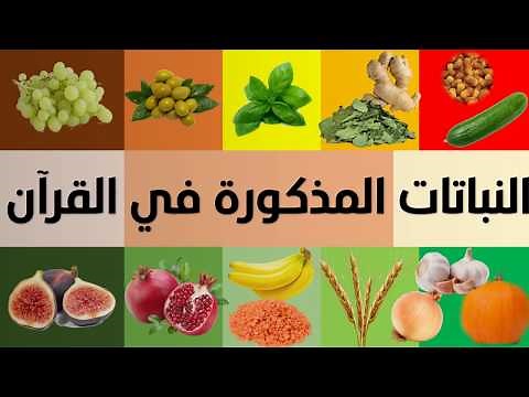 الفواكه + الخضروات + الأشجار + الحبوب + النباتات المذكورة في القرآن الكريم