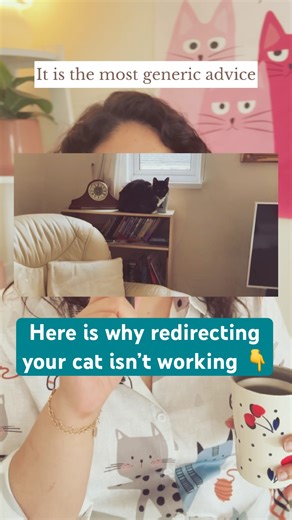 Redirection Doesn’t Fix Cat Behaviour Here’s What Does #cats #catbehaviour #catadvice #catparenting