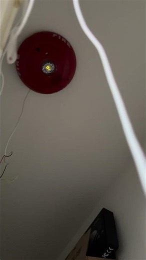 System Sensor L series LED Celing Horn strobe + Wheelock ZNS