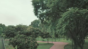 Urban trendy woman on a train carriage   - Free Stock Video