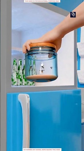 Battery-Free Flying Plane Using Flies | Shocking Science Experiment 😱