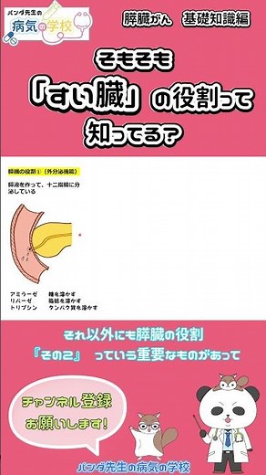 そもそも「すい臓」の役割って知ってる？
