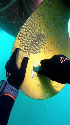Mini Scraper Cleaning a Massive Ship Propeller 😌⚓