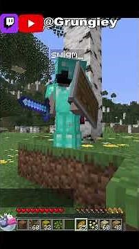 NEW JOINABLE SMP FOR JAVA AND BEDROCK PLAYERS