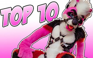 【Fluke】TOP 10 FURSUIT CRUSHES