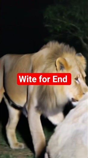 just Real tight #viral #shorts