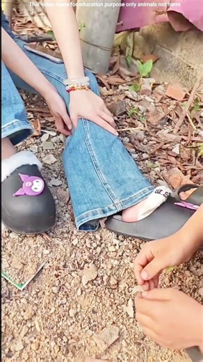 Oops Animal enters inside the sister pant #shortsvideo