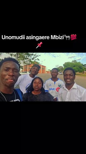 Mbizi family zebra moments — Unomudii asingaere Mbizi