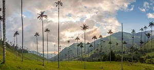 First Look at the New Adventures by Disney Colombia Tour | Chip and Company