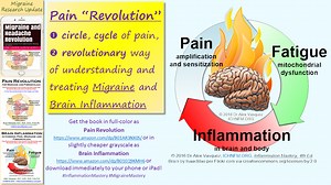 Diet Protocol | InflammationMastery