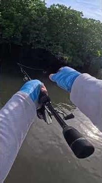Skip Casting Mangrove Jack with ZMan GOAT. #fishing #zman #shorts #mangrovejack #topwaterfishing