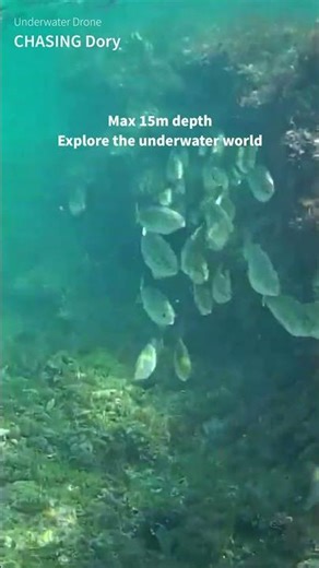The ultimate hit underwater drone, immersive experience of dancing with underwater fish